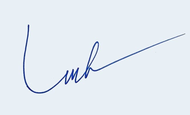 Mẫu chữ ký thương hiệu Linh đơn giản