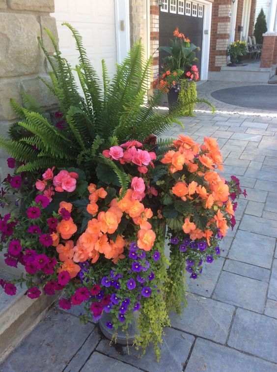 Trang trí bồn hoa trước nhà
