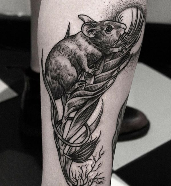 Hình Tattoo chuột sa chĩnh gạo