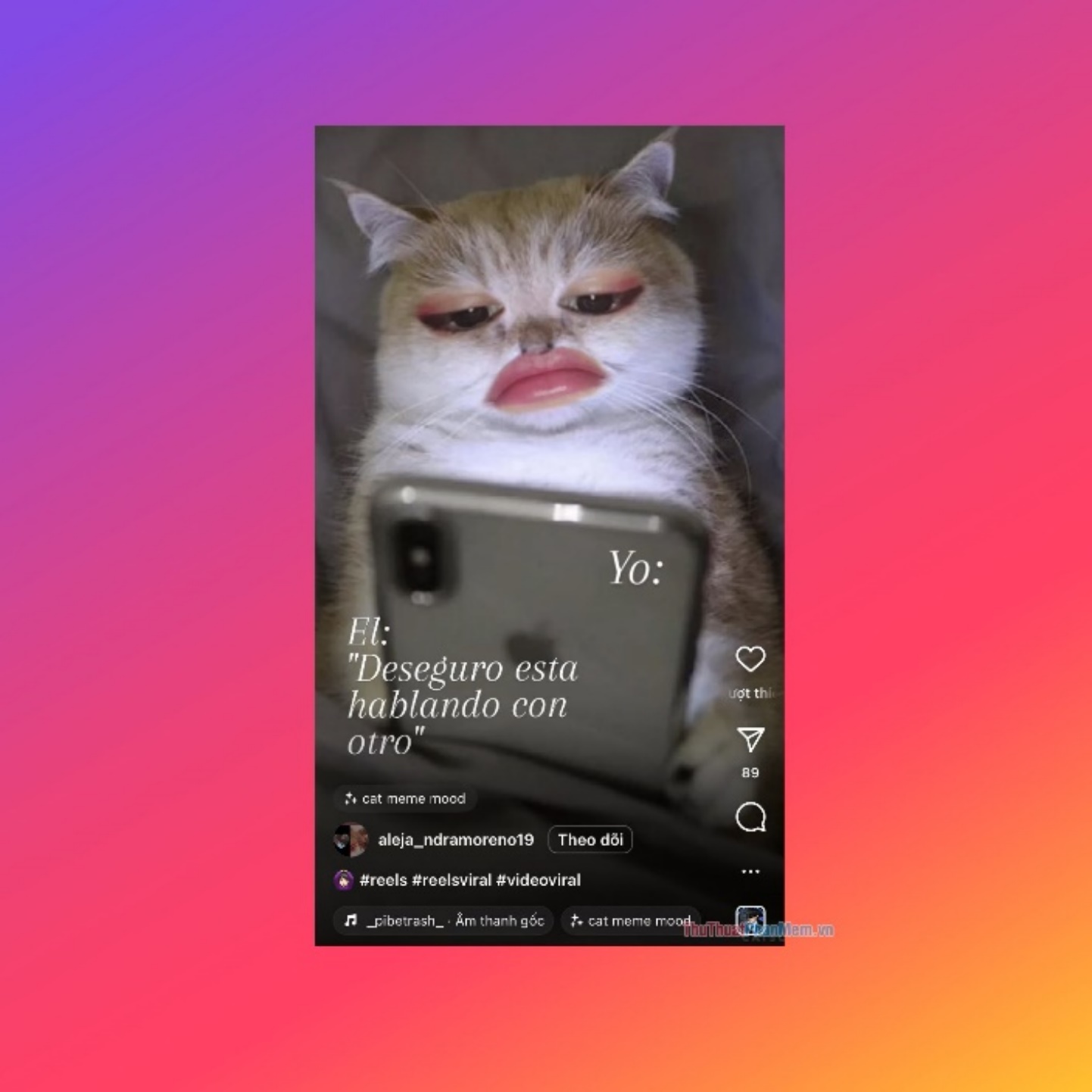 Cat Meme Mood – Filter che mặt, ghép mặt mèo
