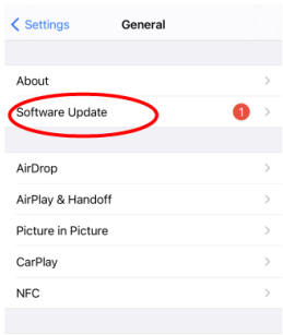 Chọn thẻ General và chọn Software Update để cập nhật hệ điều hành mới nhất cho thiết bị
