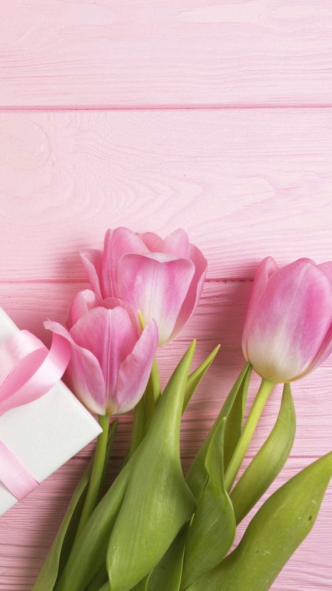 Hình nền điện thoại hoa tulip siêu đẹp