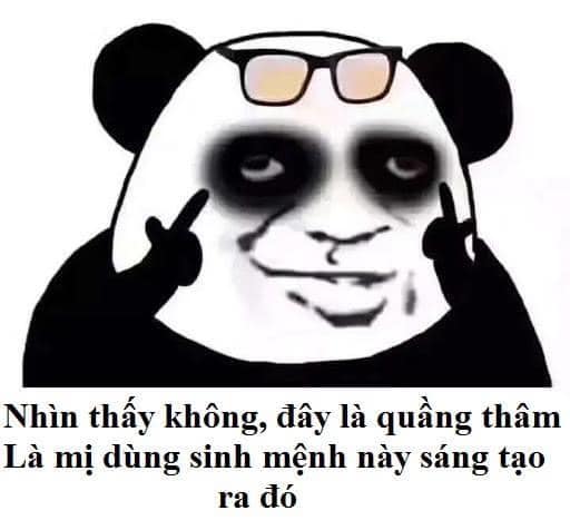 Meme gấu trúc mắt thâm Trung Quốc
