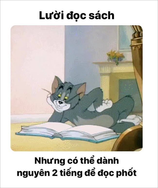 Ảnh chế meme Tom and Jerry hài hước