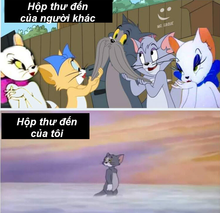 Ảnh meme Tom and Jerry