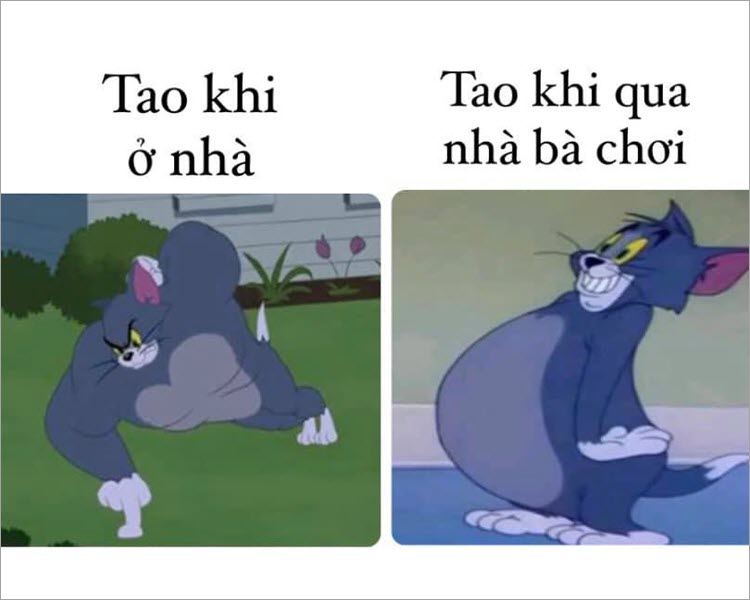 Hình ảnh meme Tom and Jerry hài hước nhất