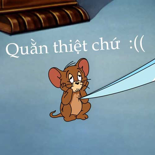 Hình ảnh Tom and Jerry hài hước meme