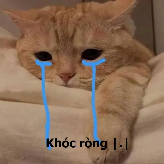 Meme mèo buồn cute khóc