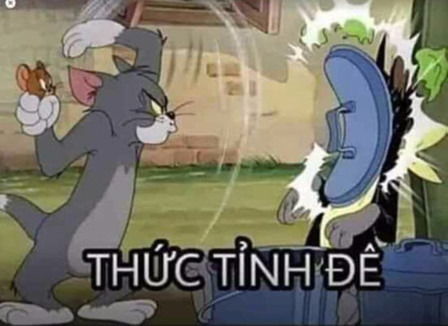 Meme Tom and Jerry hài hước - thức tỉnh đê
