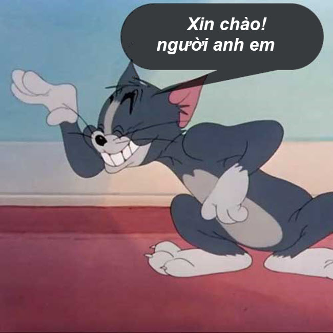 Meme Tom and Jerry vui nhộn - xin xỏ xin chào người anh em