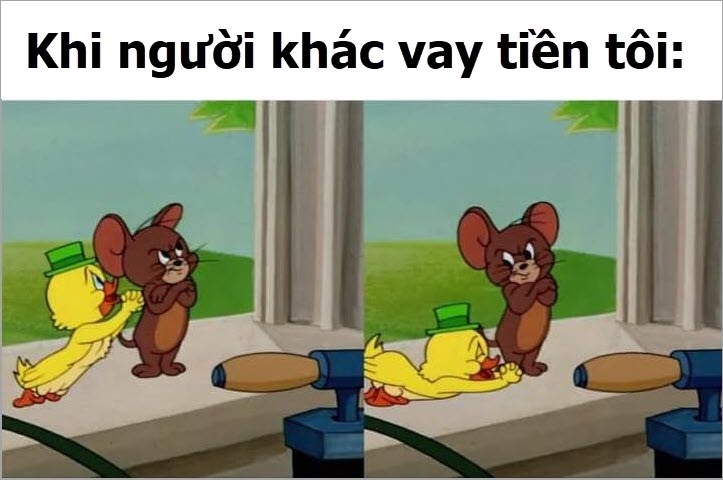 Meme Tom và Jerry hài hước