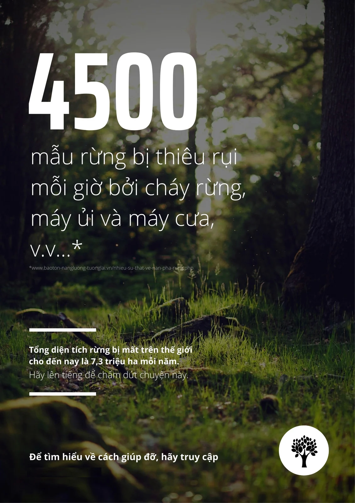 Poster bảo vệ rừng xanh đẹp