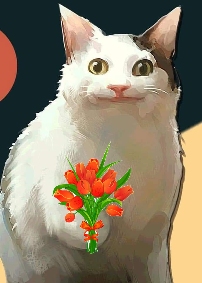 Hình ảnh meme mèo tặng hoa hài hước