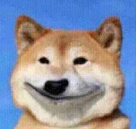 Meme chó cười cợt mím môi