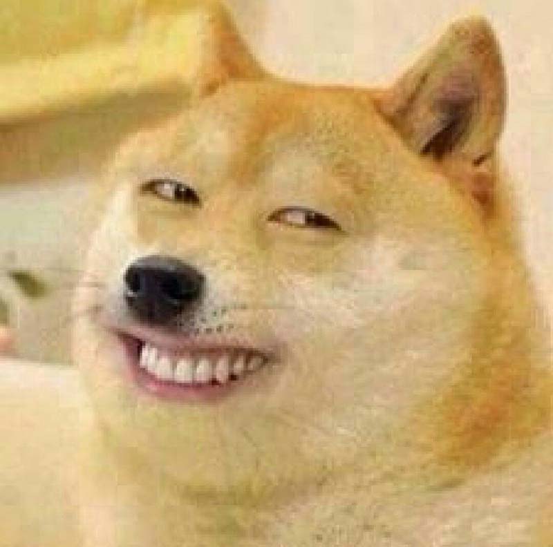 Meme chó răng Trắng cười