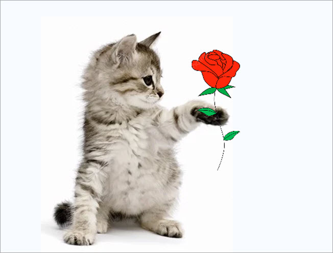 Meme mèo tặng hoa hài hước, cute đáng yêu