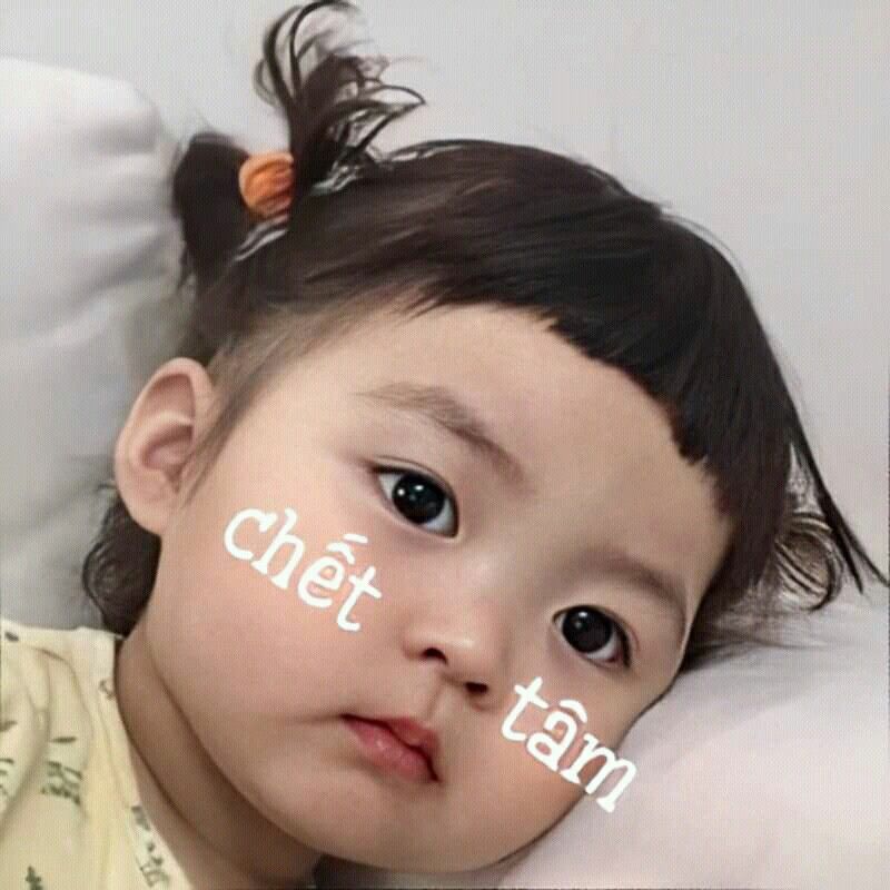 Hình meme em nhỏ bé Nước Hàn đặc biệt hài hước
