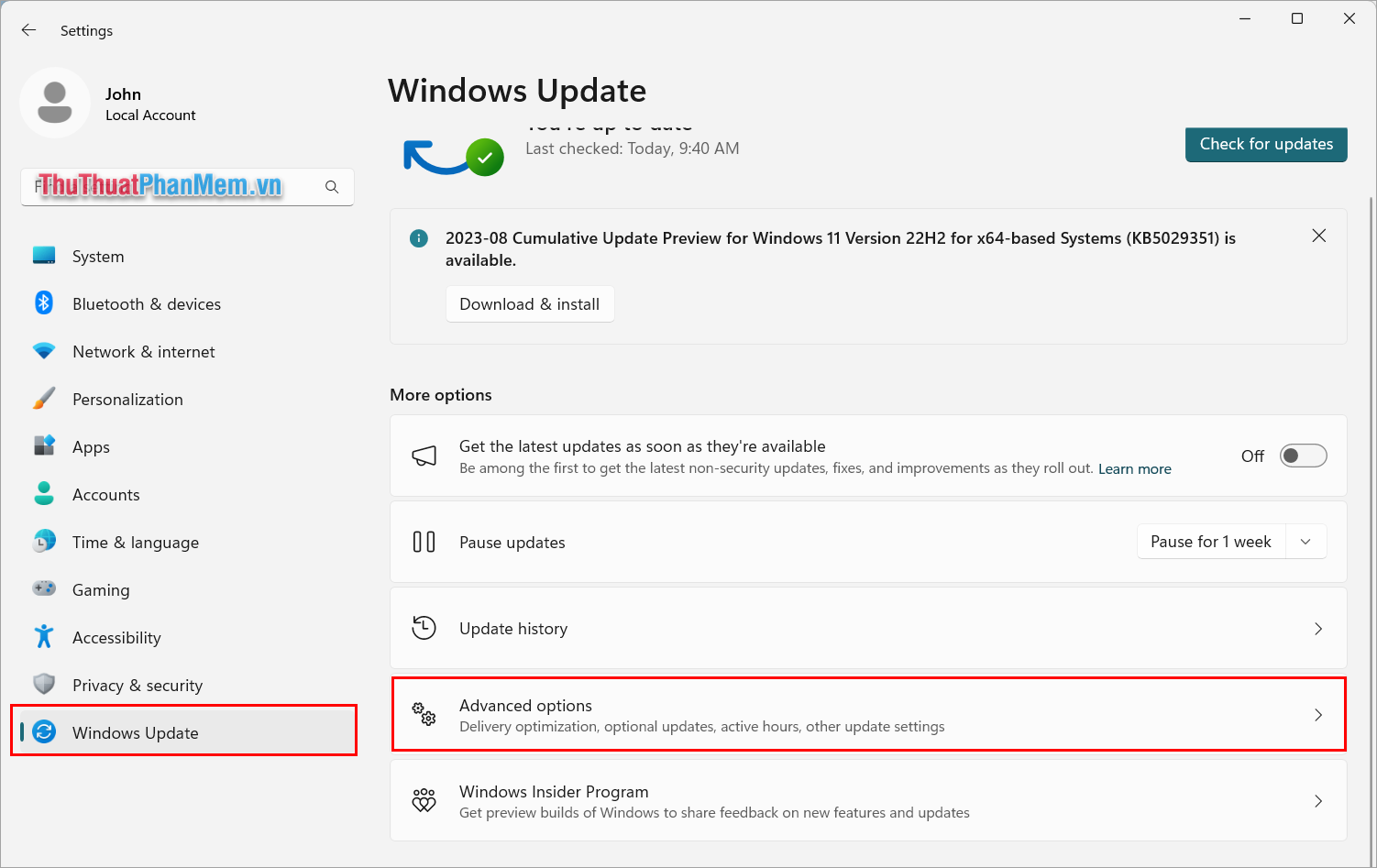 Chọn thẻ Windows Update và mở mục Advanced Options