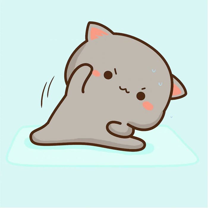 Hình ảnh avatar đôi mèo dễ thương nhất 1