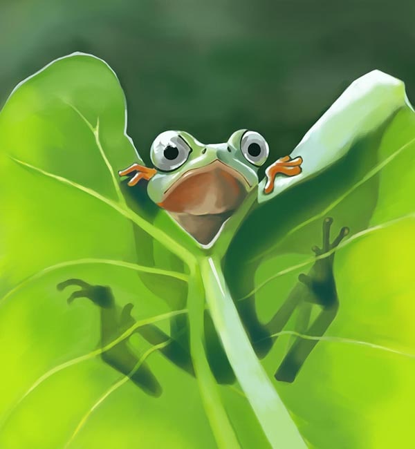 Ảnh avatar ếch độc đáo nhất