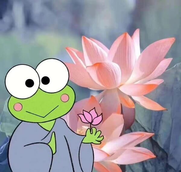 Avatar ếch  cực đáng yêu