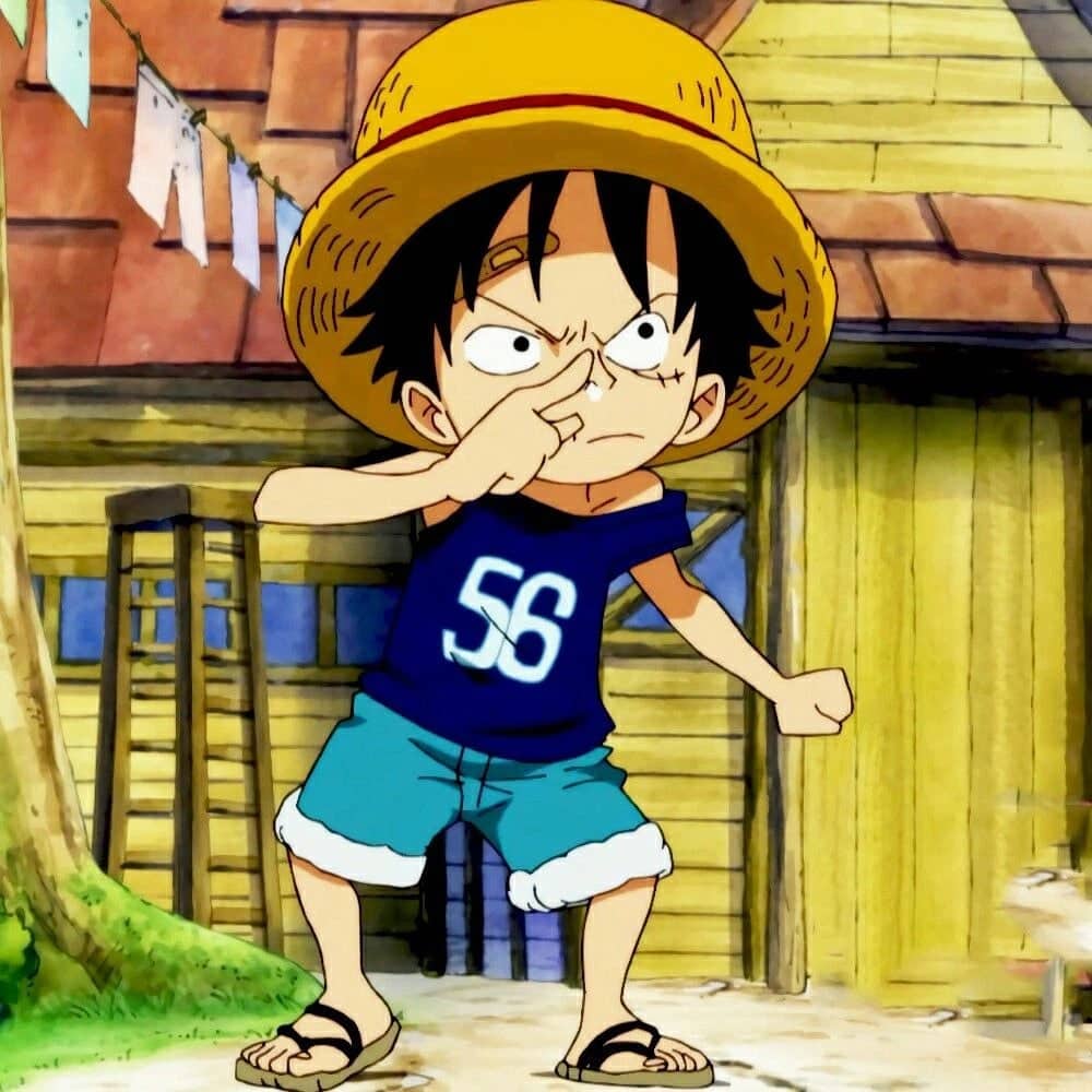 Avatar One Piece siêu cute