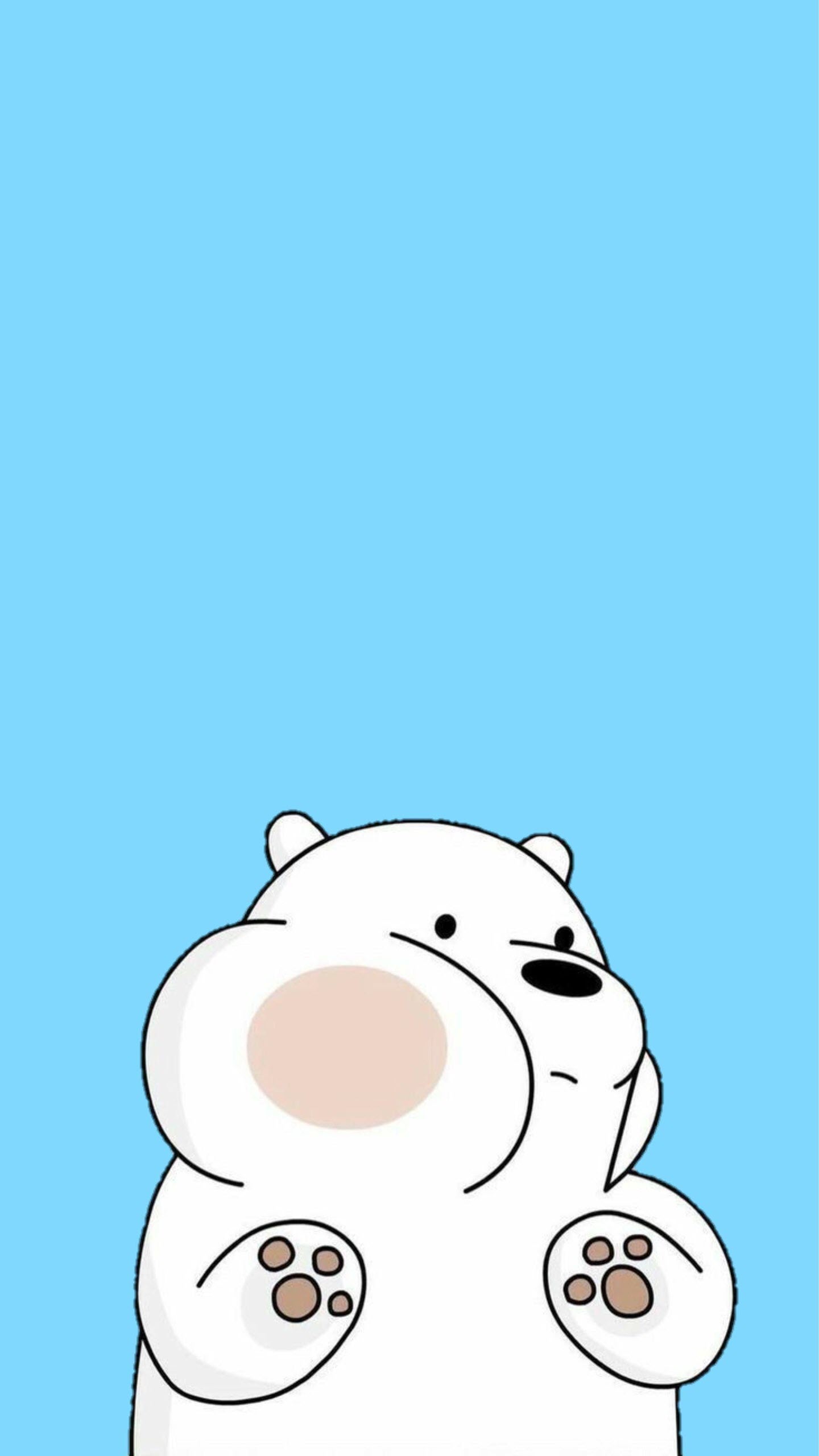 Hình nền gấu trắng cute 2K cho điện thoại