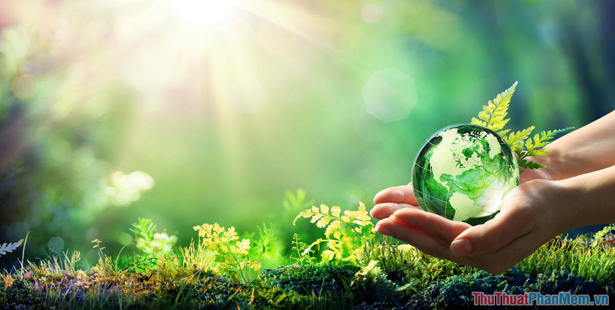 Slogan bảo vệ môi trường – Chung tay vì trái đất xanh