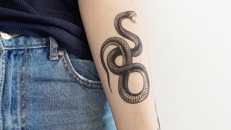 Hình mẫu hình xăm con rắn siêu đẹp