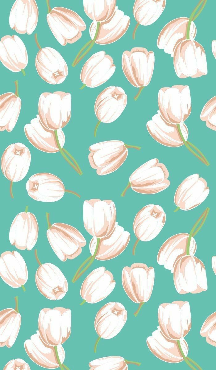 Ảnh nền hoa Tulip vẽ tay mang lại Smartphone đẹp