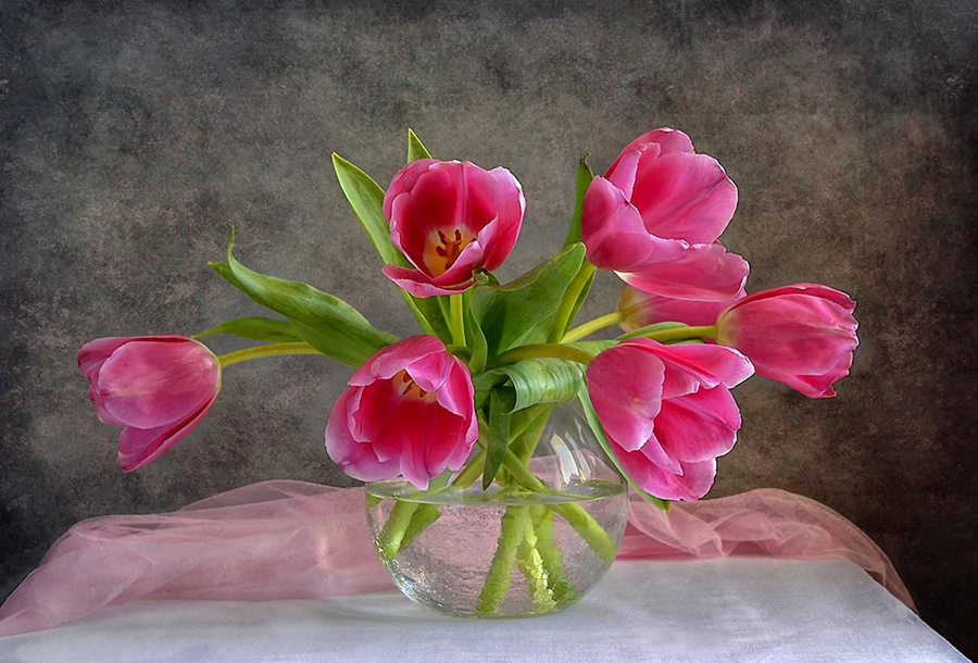 Ảnh nền hoa Tulip vẽ tay đẹp nhất