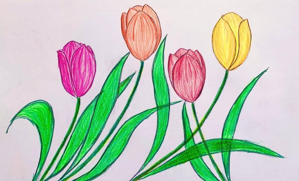 Hình nền hoa Tulip vẽ tay siêu ấn tượng, độc đáo