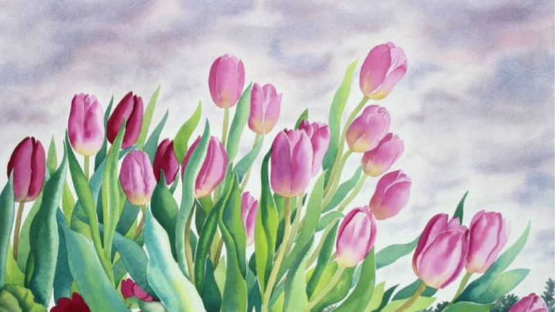 Wallpaper hoa Tulip vẽ tay rất rất lạ mắt, tuyệt hảo mang lại năng lượng điện thoại