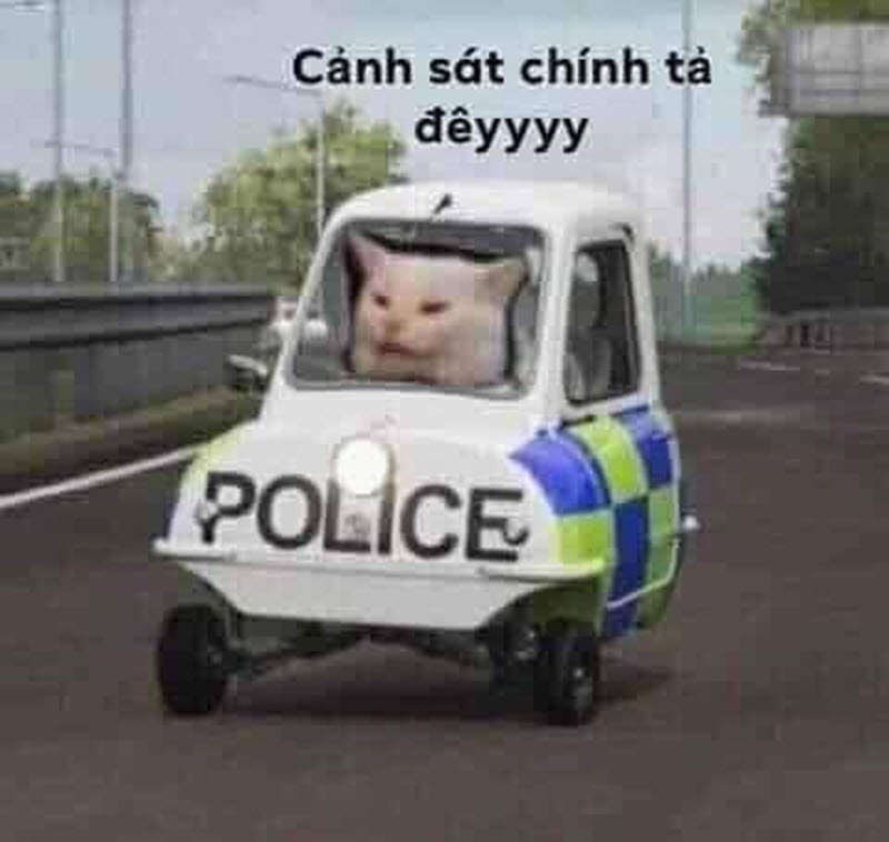 Meme cảnh sát chính tả cute