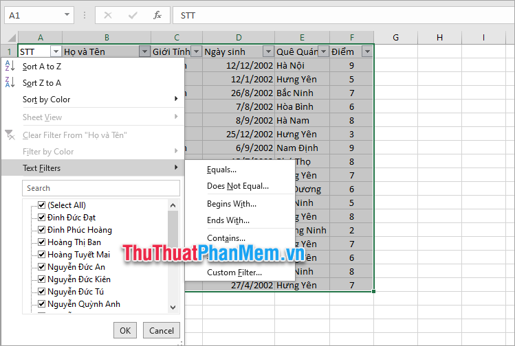 Cách sử dụng nút chọn lọc trong Excel