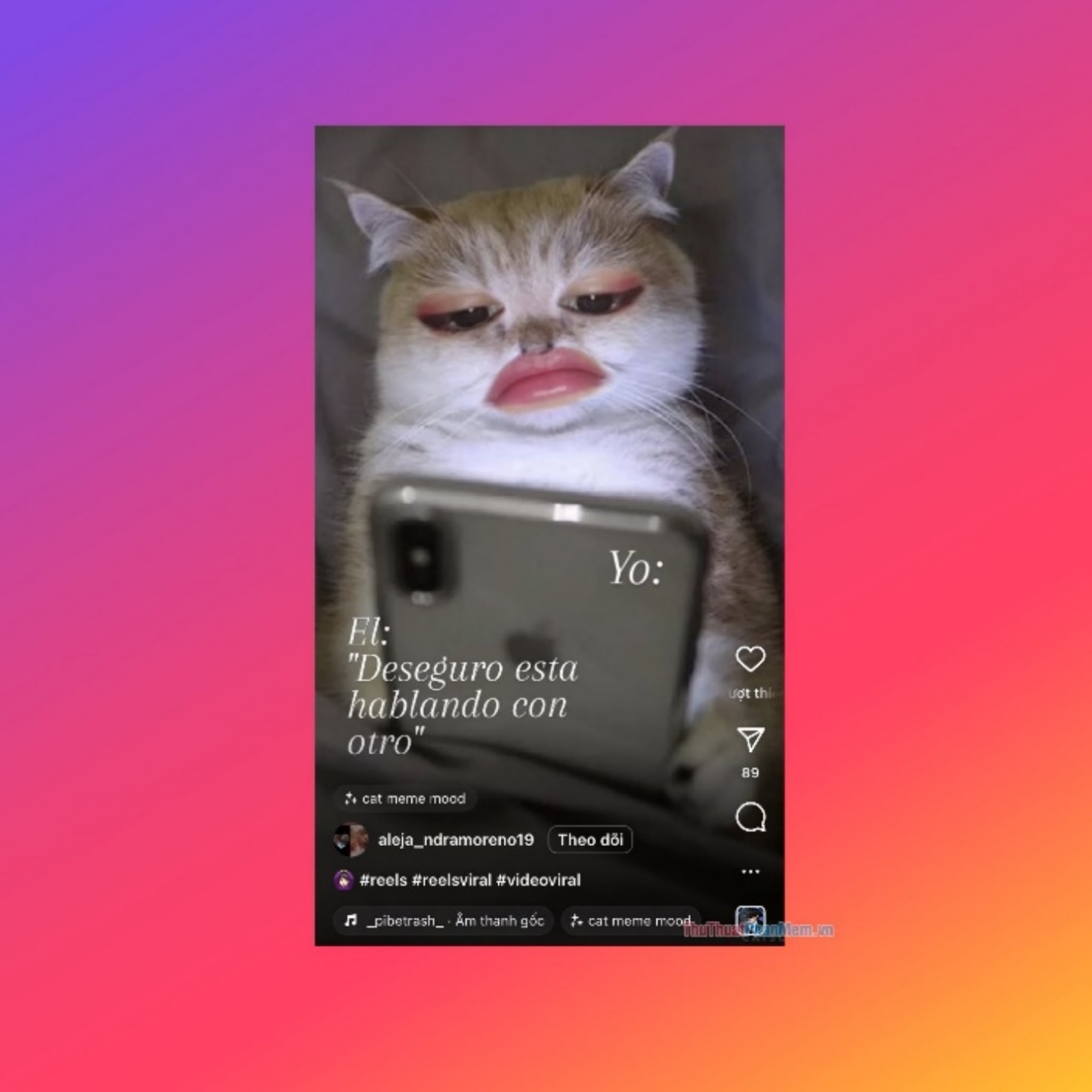 Cat Meme Mood – Filter ghép mặt vào mèo cầm iPhone