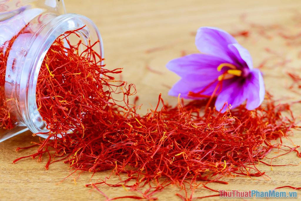 Saffron – Nhụy hoa nghệ tây