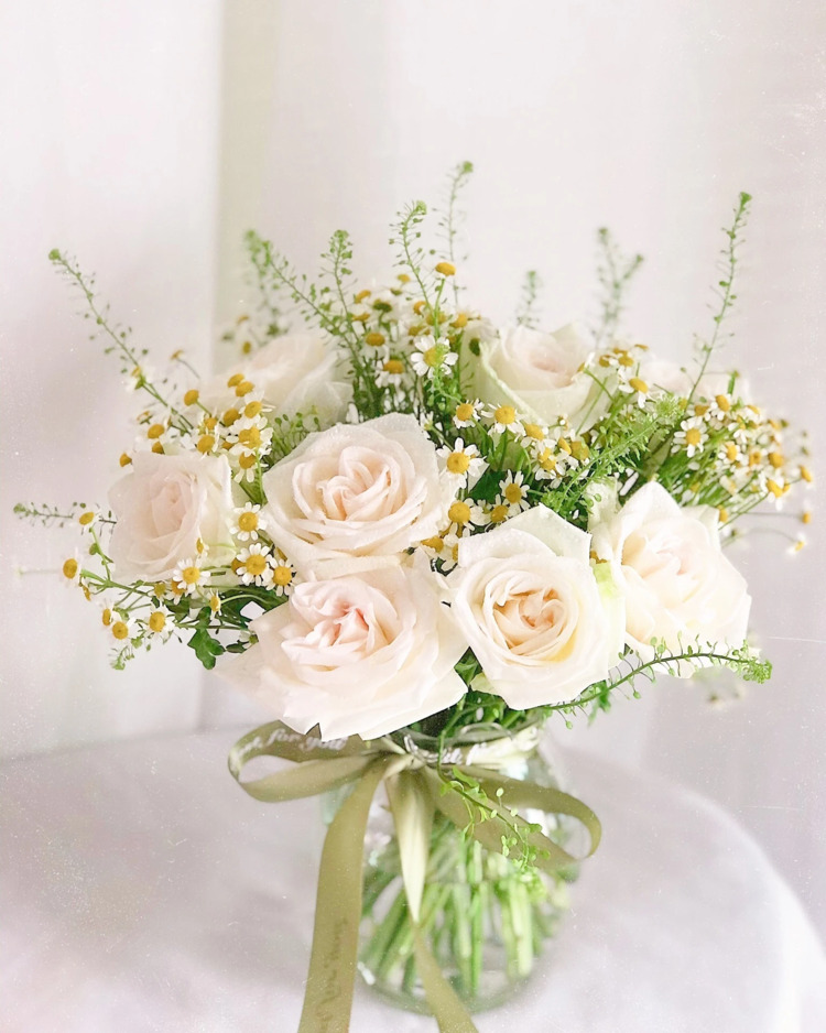 Hình ảnh hoa hồng trắng xinh đẹp