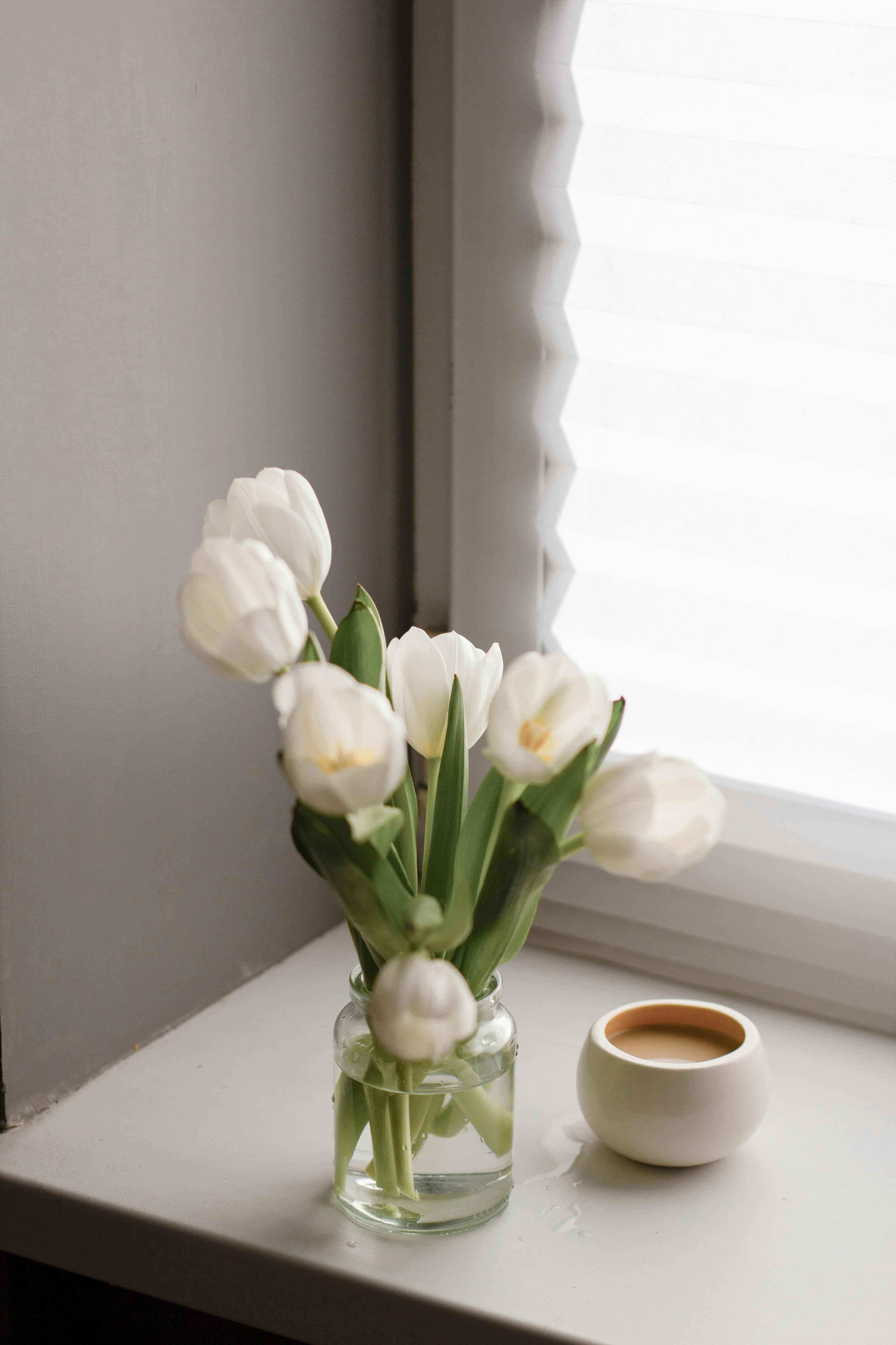 Hình ảnh hoa Tulip trắng độc đáo