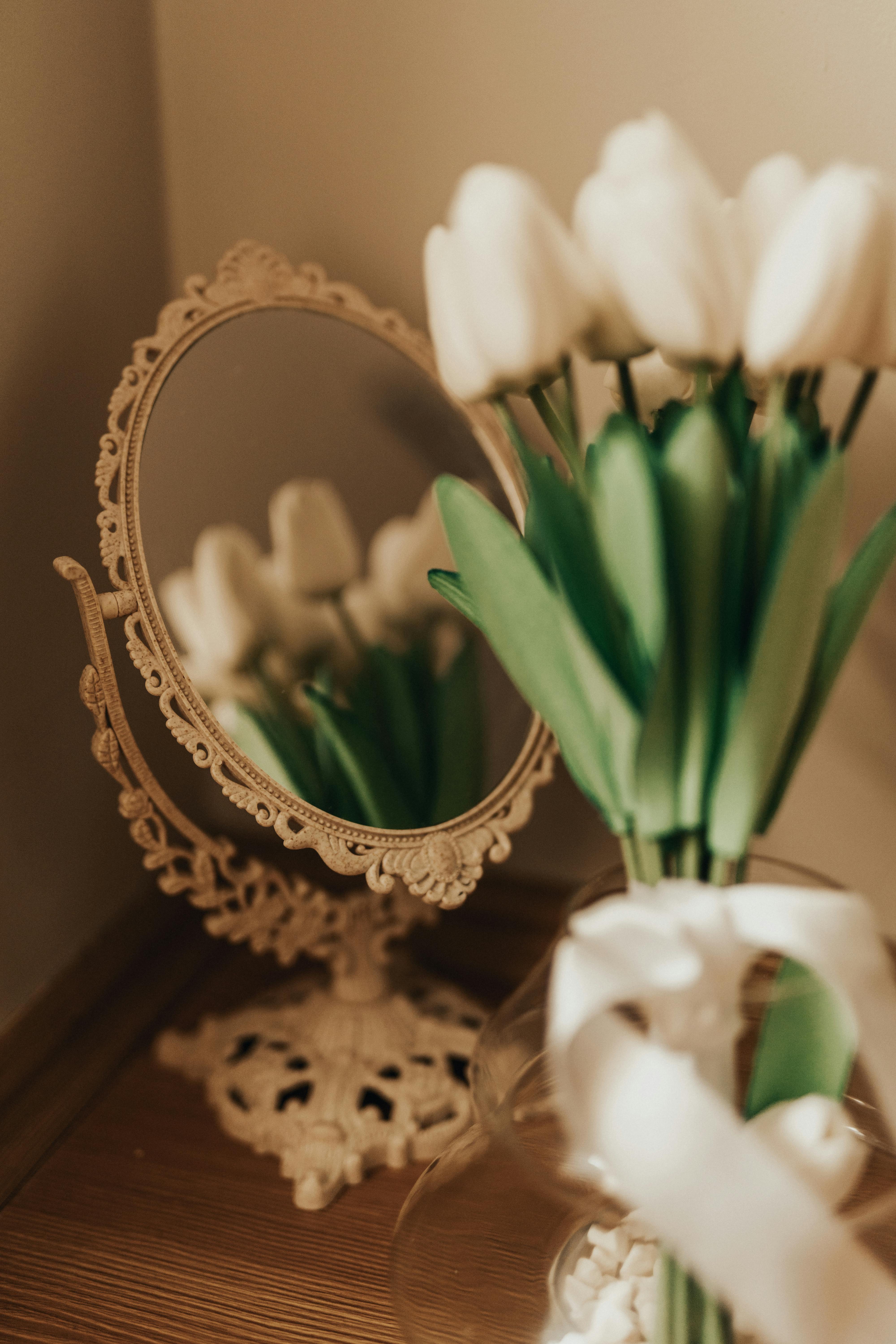 Hình wallpaper hoa Tulip trắng đẹp nhất