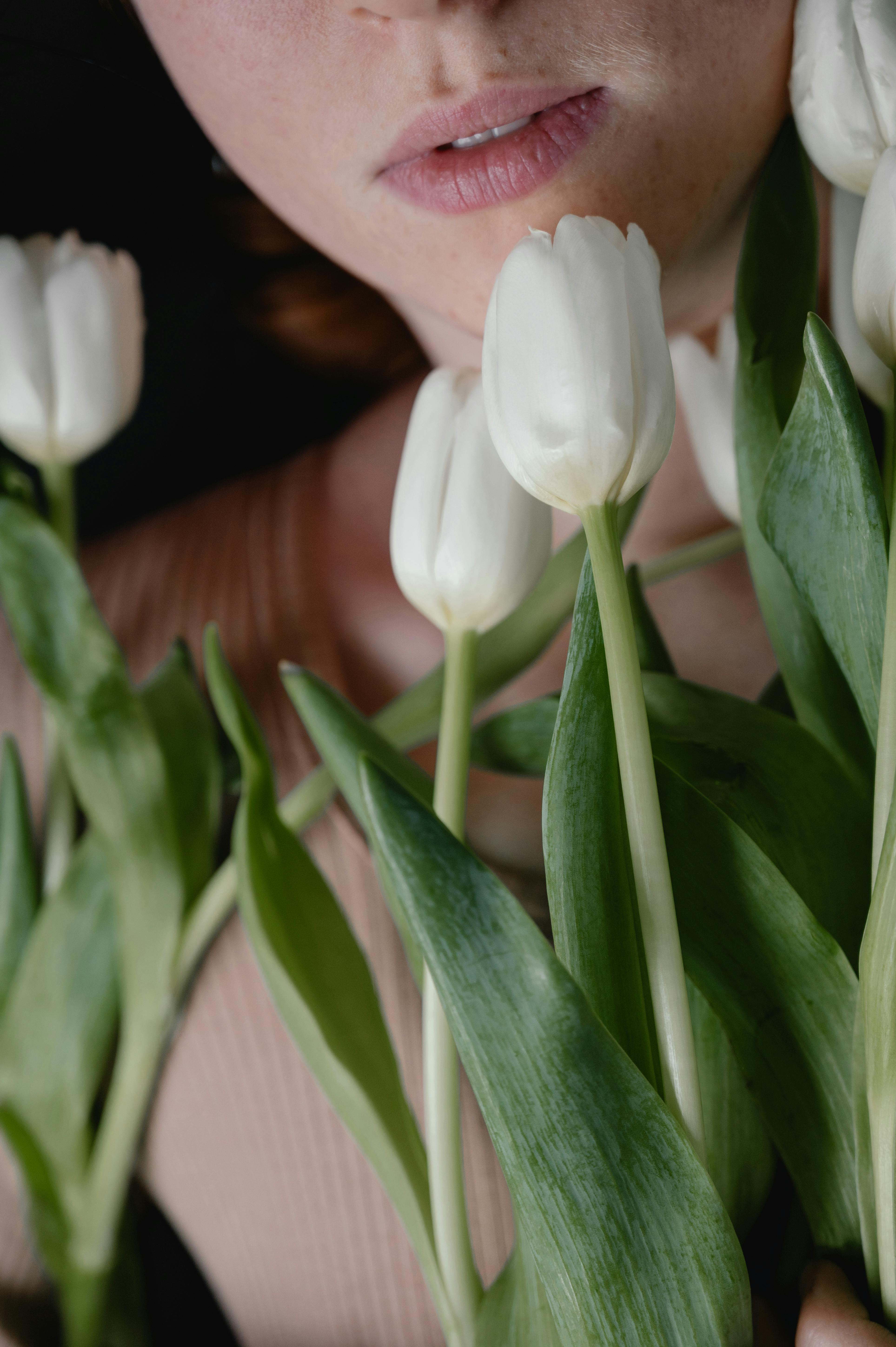Wallpaper hoa Tulip trắng tuyệt đẹp