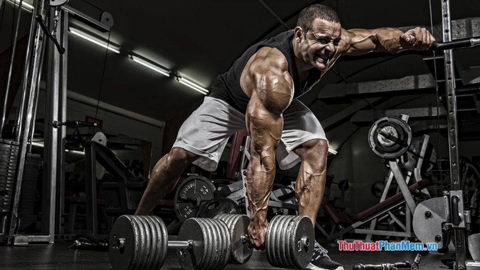 Các hoạt động mạnh Các hoạt động mạnh