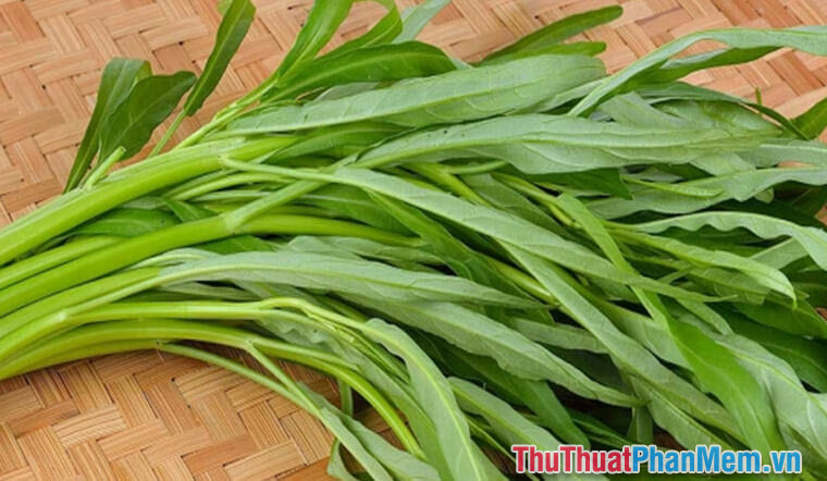 Rau muống Rau muống