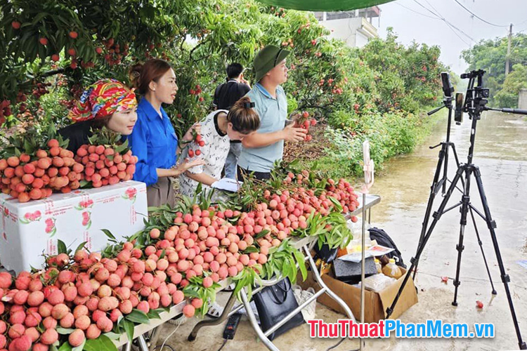 Buôn bán đặc sản, nông sản online Buôn bán đặc sản, nông sản online