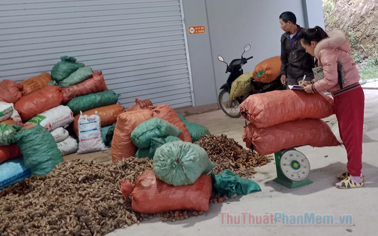 Buôn bán gì nhanh giàu ở nông thôn? Cần đọc trước khi kinh doanh