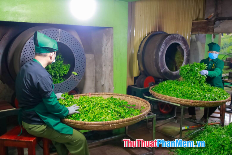 Chế biến nông sản đặc trưng Chế biến nông sản đặc trưng