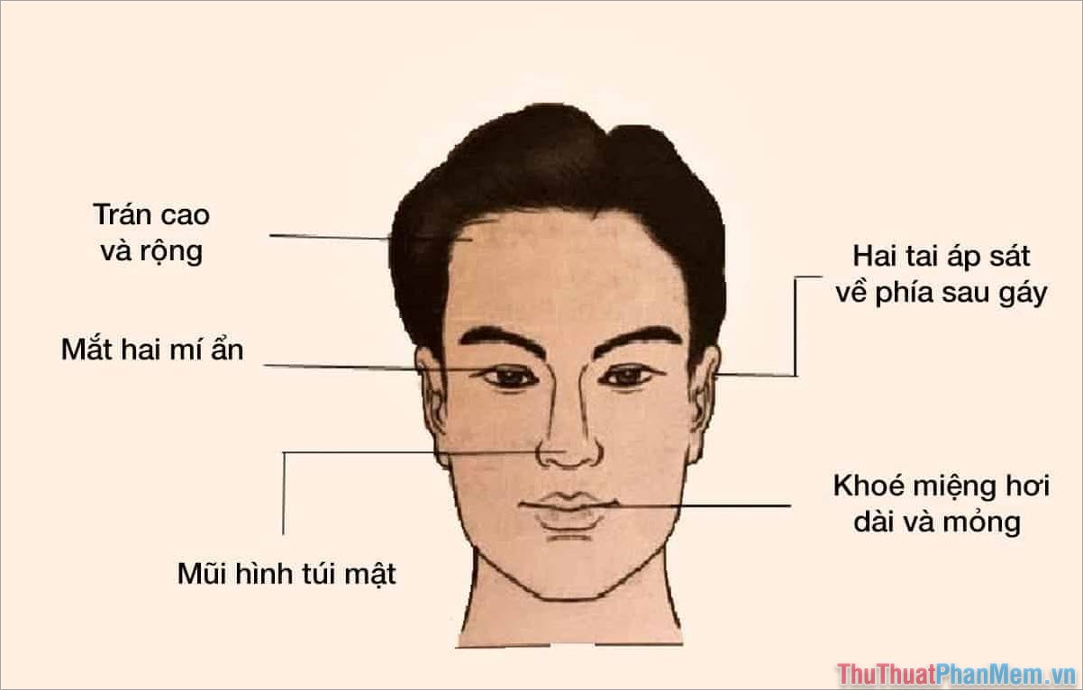 Tỷ Lệ Khuôn Mặt Vàng – App xem tướng qua Camera