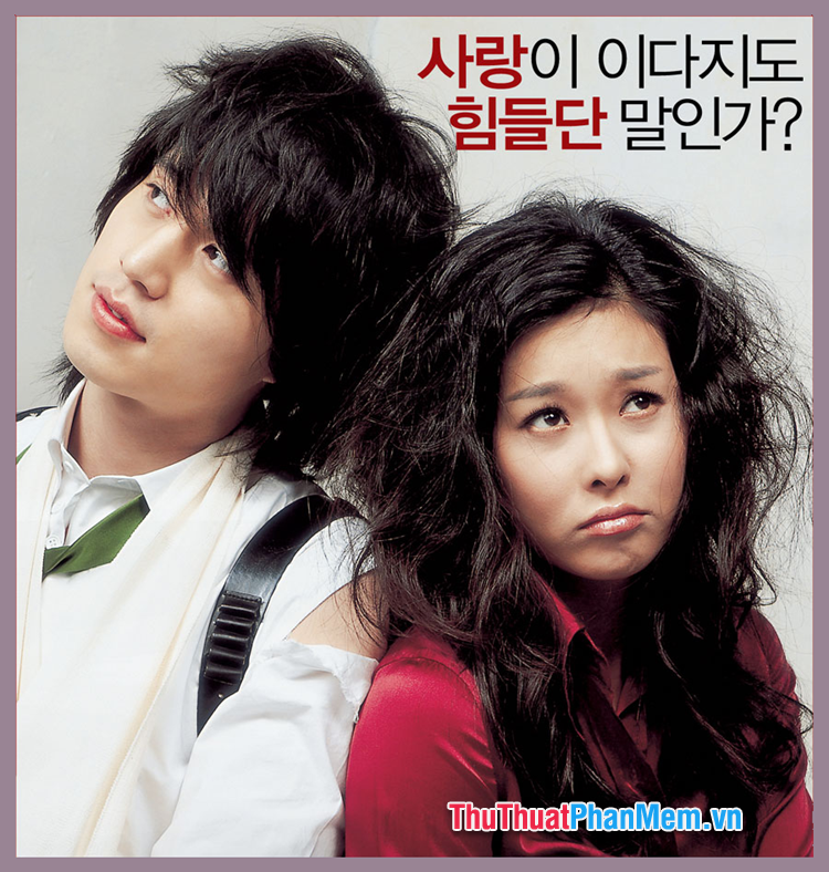 Cặp Đôi Hoàn Hảo – The Perfect Couple (2007)