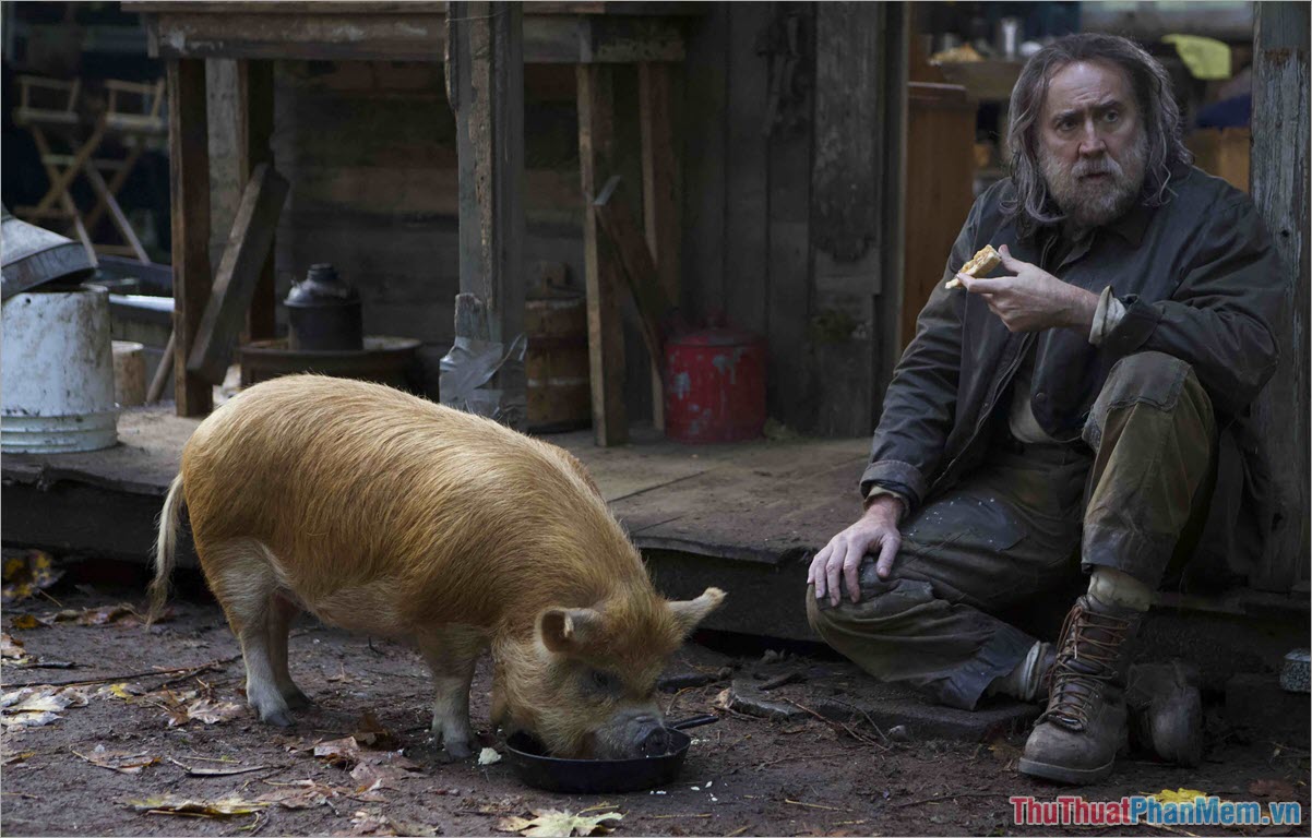 Pig - Truy Tìm Lợn Yêu (2021)