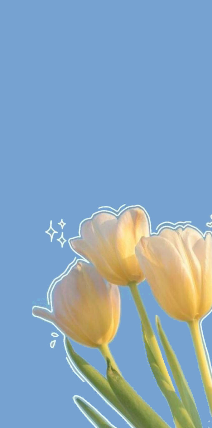 Ảnh nền hoa tulip cute cho điện thoại Android